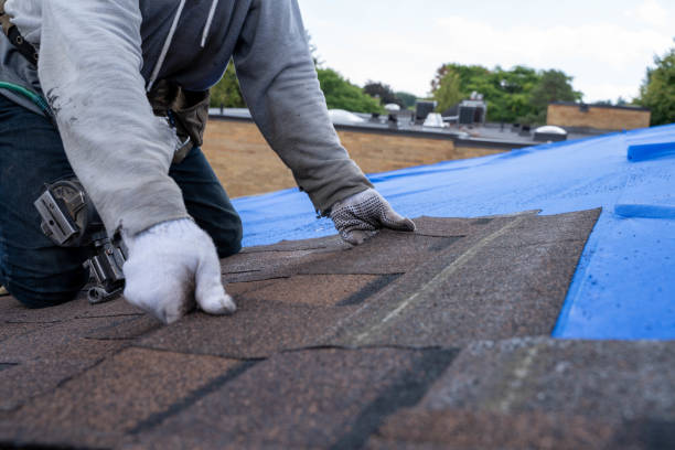 Roof Gutter Cleaning in Thiells, NY